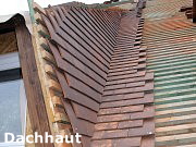Dachhaut