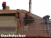 Dachdecker